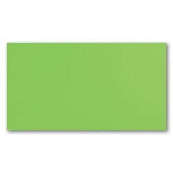 Green R.1 32,7x59,3 sienų plytelė