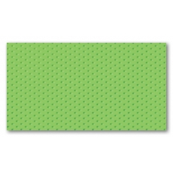 Green R.2 32,7x59,3 sienų plytelė