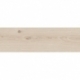 Sandwood white 18,5x59,8 grindų plytelė