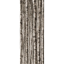 Epoxy Birch  239,8x89,8  plytelė dekoratyvinė