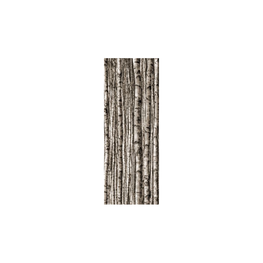 Epoxy Birch  239,8x89,8  plytelė dekoratyvinė