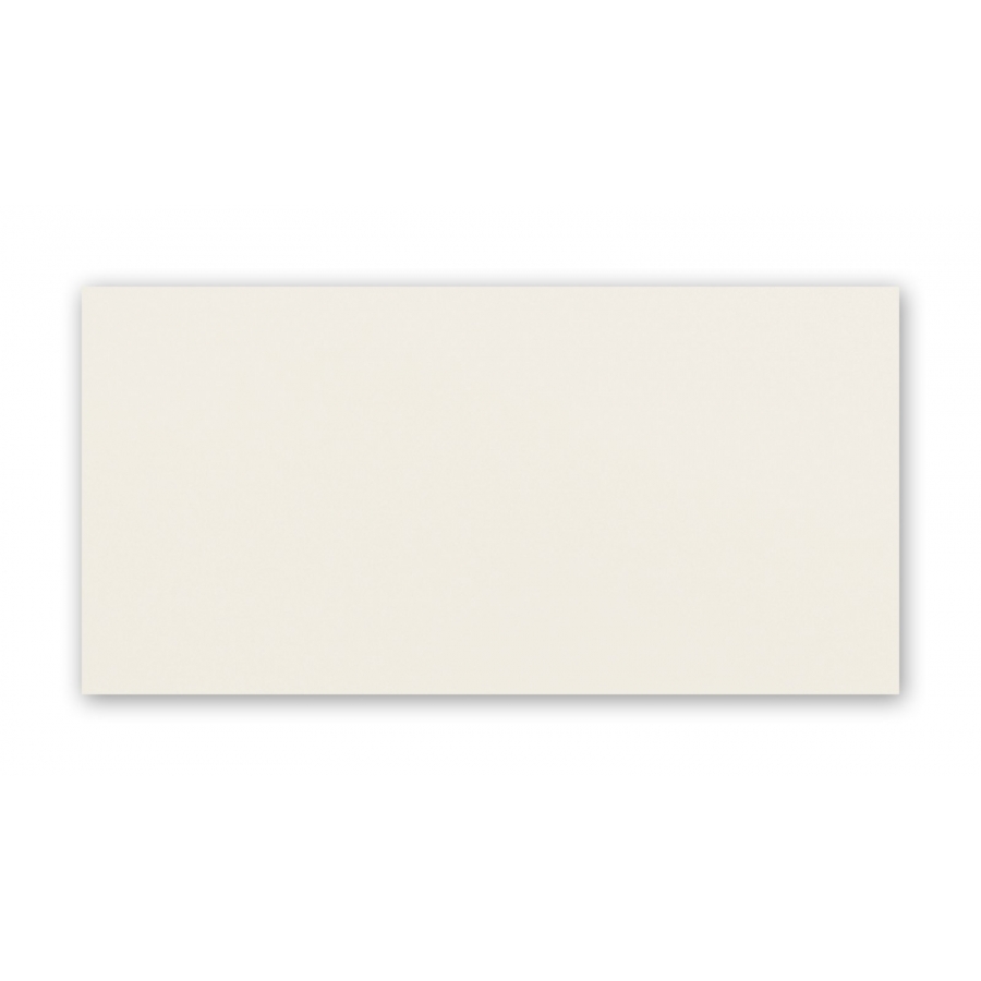 Blanca white  29,8x59,8  sienų plytelė