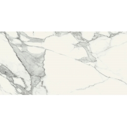 Specchio Carrara POL 119,8 x 59,8  universali plytelė