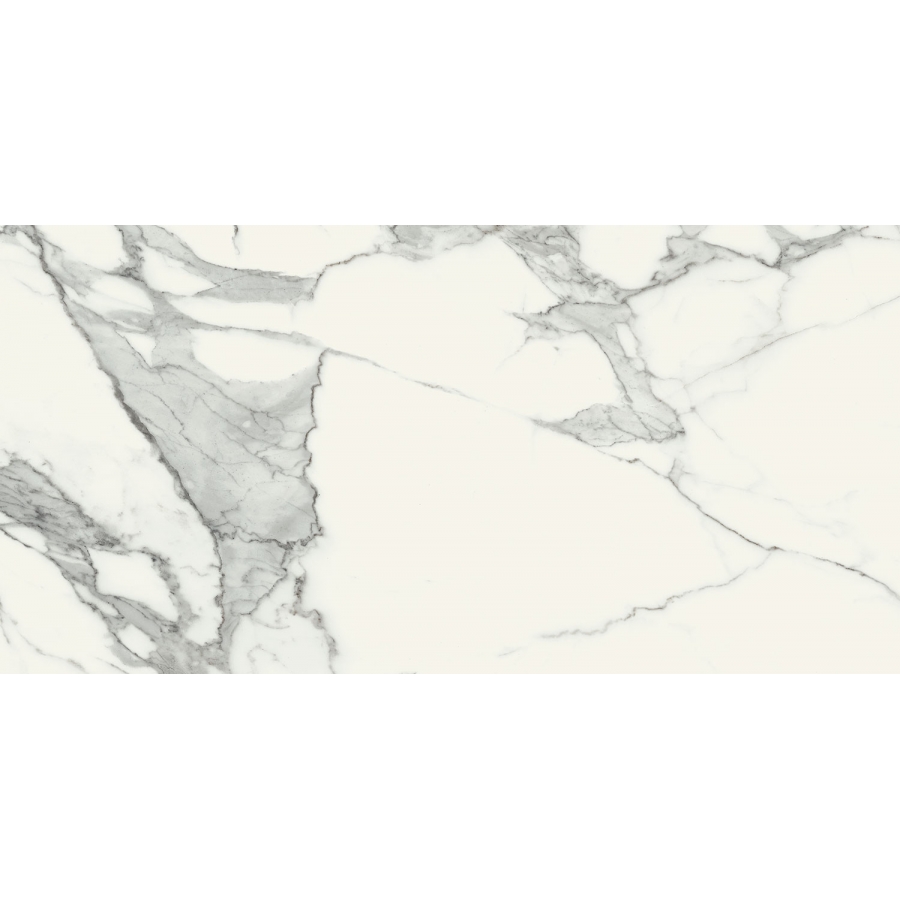 Specchio Carrara POL 119,8 x 59,8  universali plytelė