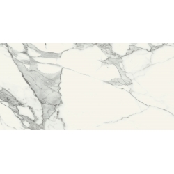 Specchio Carrara SAT 119,8 x 59,8  universali plytelė