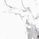 Calacatta white poler 59,7X59,7 universali plytelė