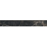 Marquina gold 8X59,7  cokolinė plytelė