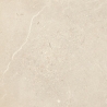 Sunnydust Light Beige Gres Szkl. Rekt. Mat. 59.8 x 59.8 universali plytelė
