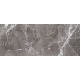 Graniti grey 29,8x74,8  sienų plytelė