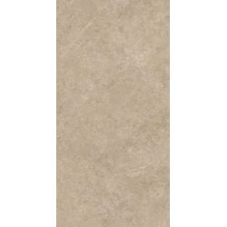 Lightstone Beige Gres Szkl. Rekt. Mat. 59.8 x 119.8 universali plytelė