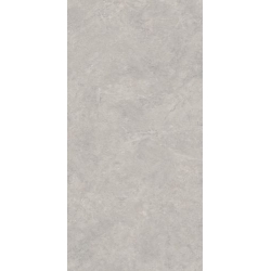 Lightstone Grey Gres Szkl. Rekt. Mat. 59.8 x 119.8 universali plytelė