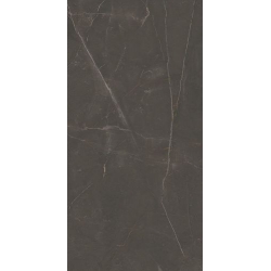 Linearstone Brown Gres Szkl. Rekt. Mat.	59.8 x 119.8  universali plytelė