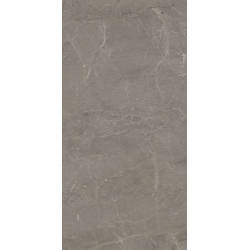 Wonderstone Light Grey Gres Szkl. Rekt. Poler 59.8 x 119.8 universali plytelė