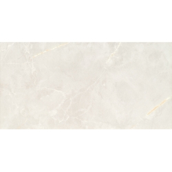 Chic stone white 30,8x60,8  sienų plytelė