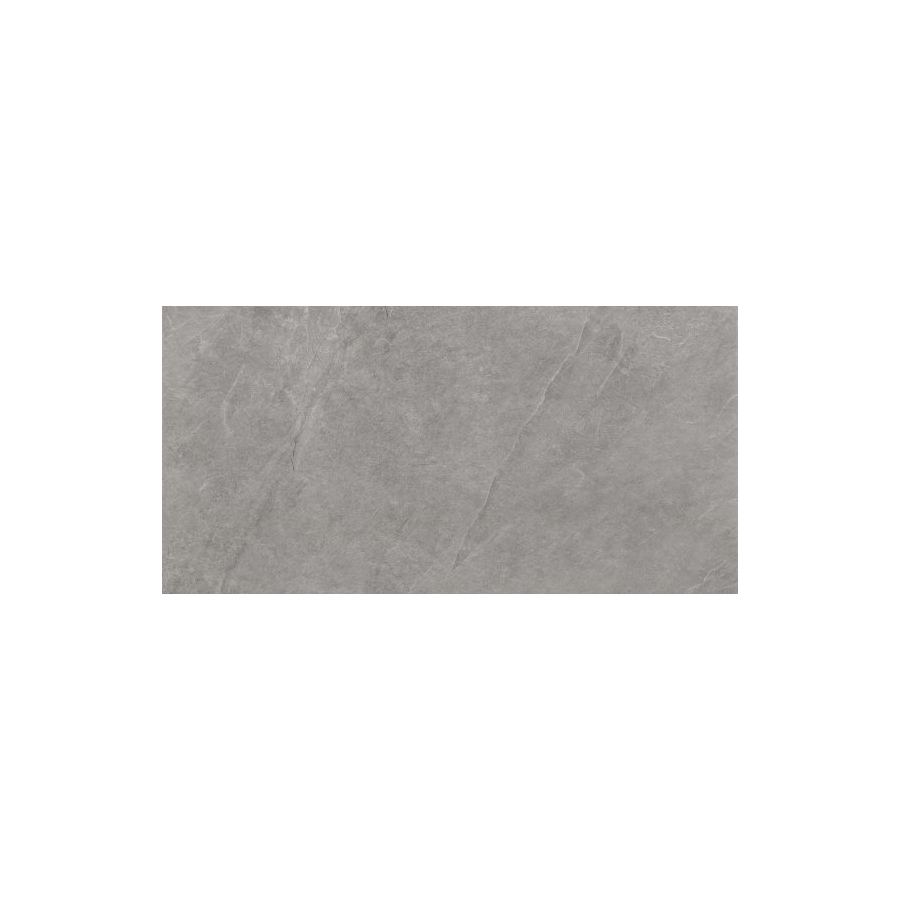 Ash silver 119,7x59,7x8  universali plytelė