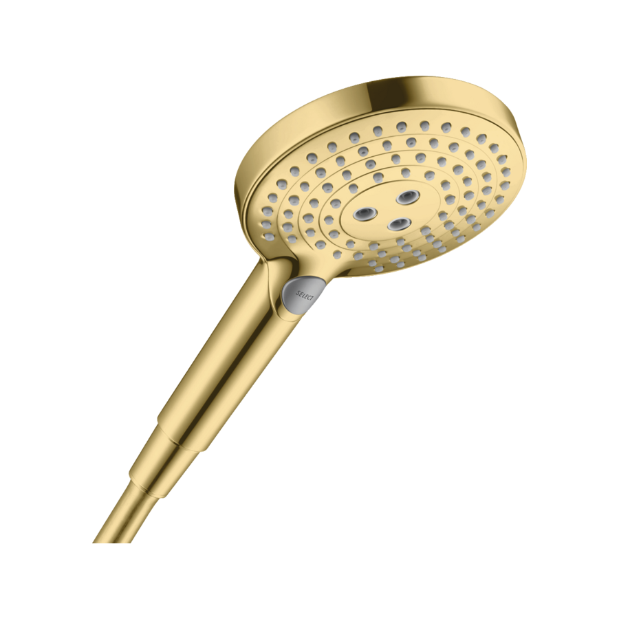 Dušo galvutė Raindance Select S Hand shower 120 3jet 26530990