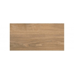 Almagro wood 29,8x59,8  sienų plytelė