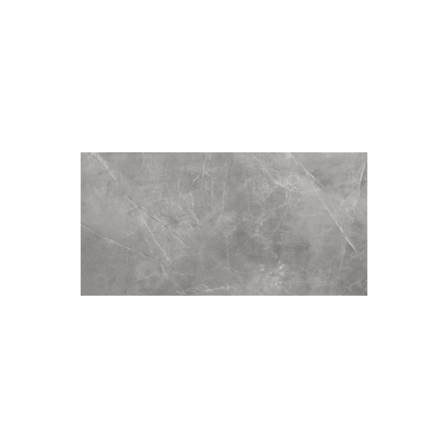 Stonemood silver 119,7x59,7x8  universali plytelė