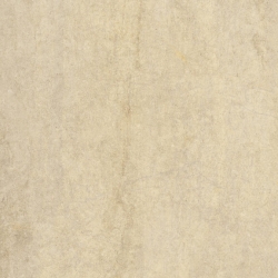 Dignity Beige 59,7X59,7X0,8  universali plytelė