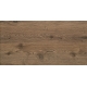 Melia wood 30,8x60,8  sienų plytelė