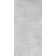 Ennis (U117) Grey Gres Szkl. Rekt. Półpoler 59,8x119,8 universali plytelė