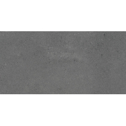 Neotec Grey 59,7 X 119,7 universali plytelė