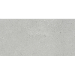 Neotec Light Grey 59,7 X 119,7 universali plytelė
