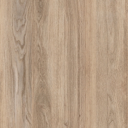Patio Wood koraTER 59,8x59,8x1,8 universali plytelė