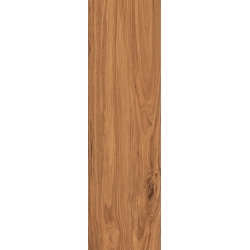 Rainwood Brown 17,5 x 60x0,8  universali plytelė