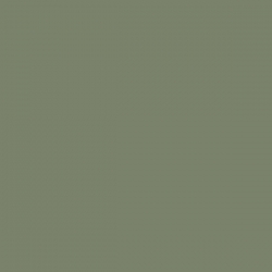 Cielo e Terra Verde MAT 119,8x119,8 universali plytelė