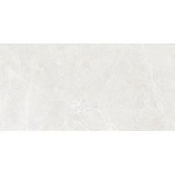 Distinct Ice 59,7x119,7 universali plytelė