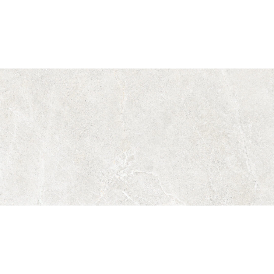 Distinct Ice 59,7x119,7 universali plytelė