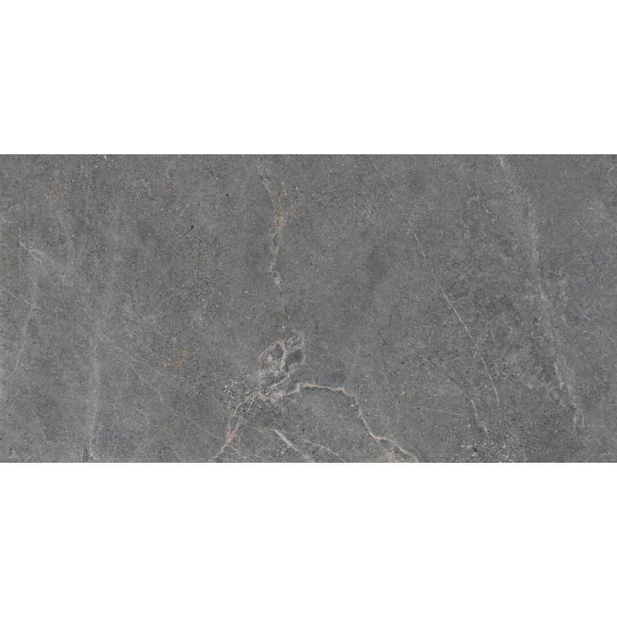 Distinct Grey 59,7x119,7 universali plytelė