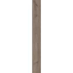 Wildland Naturale Gres Szkl. Rekt. 19,8X119,8 akm. masės plytelė