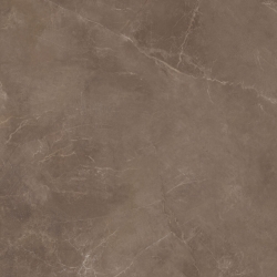 Softstone Brown 59,7x59,7 universali plytelė