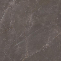 Elegant Look Brown gres rekt. mat 119,8x119,8 universali plytelė