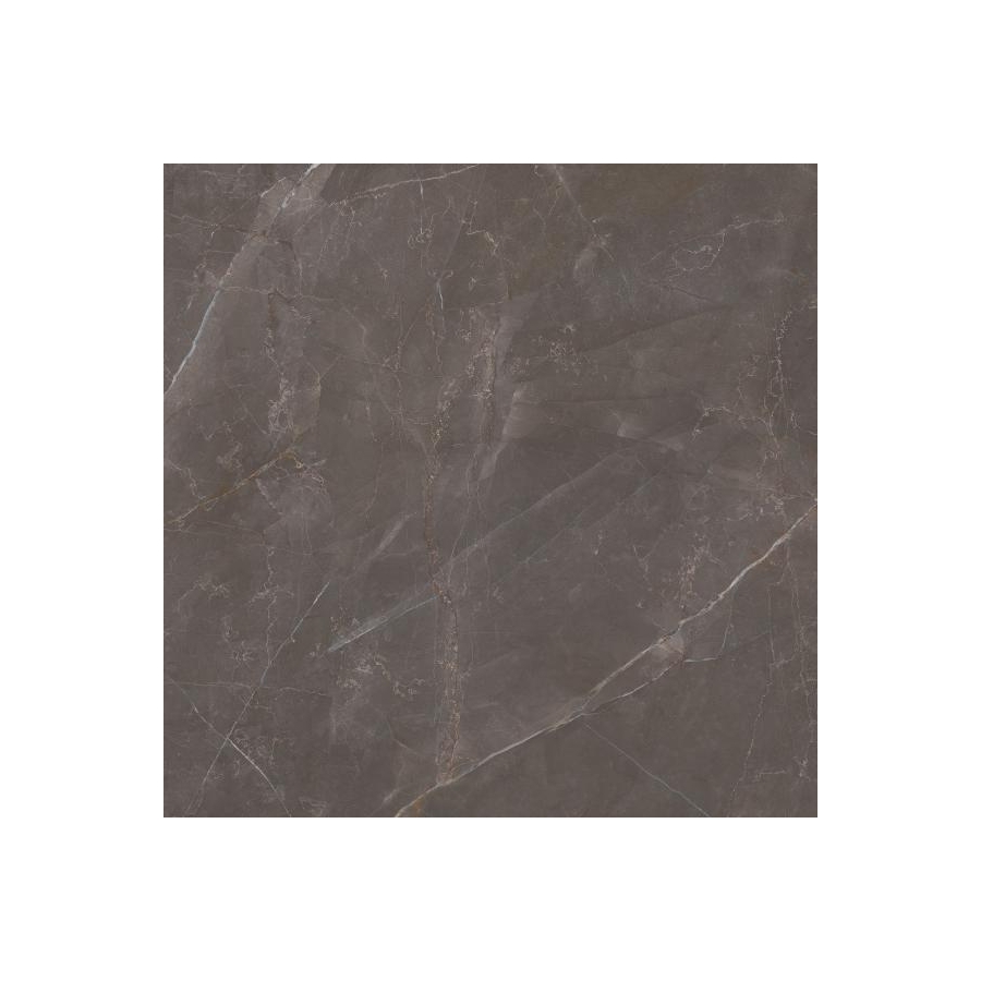 Elegant Look Brown gres rekt. mat 119,8x119,8 universali plytelė