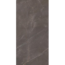 Elegant Look Brown gres rekt. mat 59,8x119,8 universali plytelė