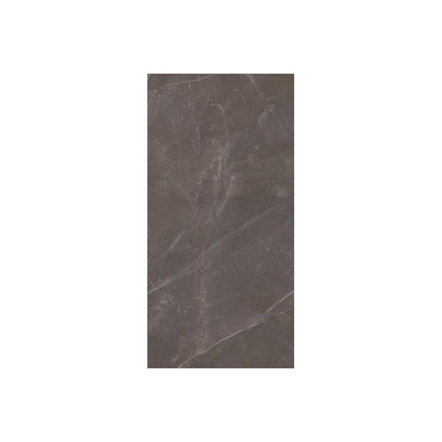 Elegant Look Brown gres rekt. mat 59,8x119,8 universali plytelė