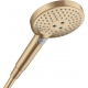 Dušo galvutė Raindance S 120 3jet EcoSmart        26531140