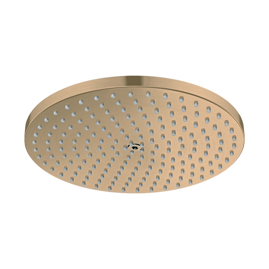 Dušo galva Hansgrohe Raindance S    27623140