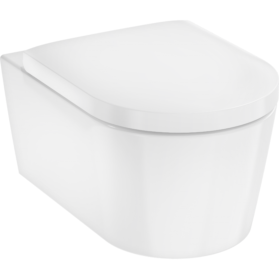 Hansgrohe EluPura S 60292450 – pakabinamas WC komplektas