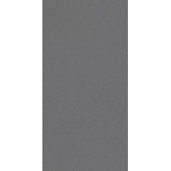Archicross Base Grey Gres Rekt. Mat. 29,8x59,8 universali plytelė