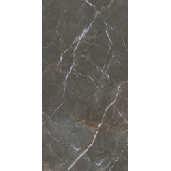 Paradyz Proud Champagne Naturale Rekt. Struktūra Mat. 59,8x119,8 akmens masės plytelė