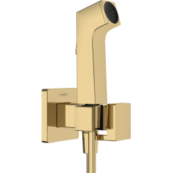Rankinis bidė dušas Hansgrohe 1jet E EcoSmart Polished Gold Optic su laikikliu ir 125 cm žarna