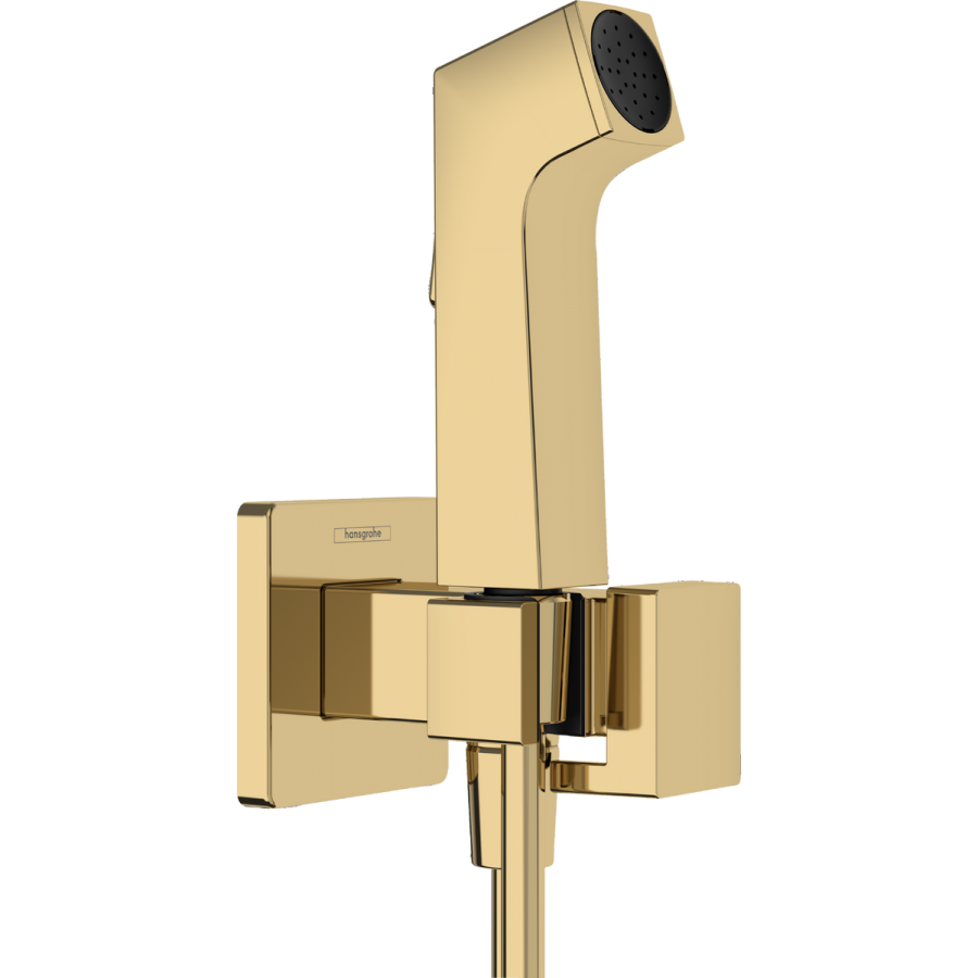 Rankinis bidė dušas Hansgrohe 1jet E EcoSmart Polished Gold Optic su laikikliu ir 125 cm žarna