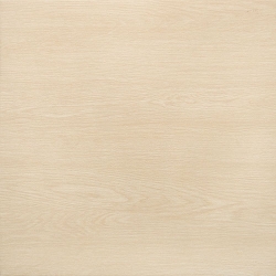 Moringa beige 45x45 grindų plytelė